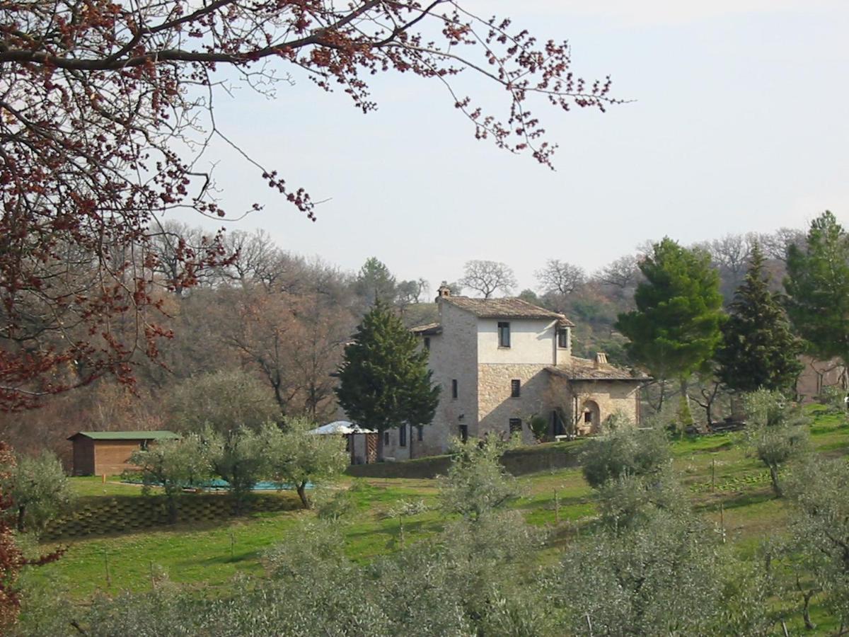 Girasole - Agriturismo Fogliani Giano dellʼUmbria Eksteriør billede